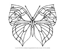 Ausmalbild-Schmetterling 4.pdf